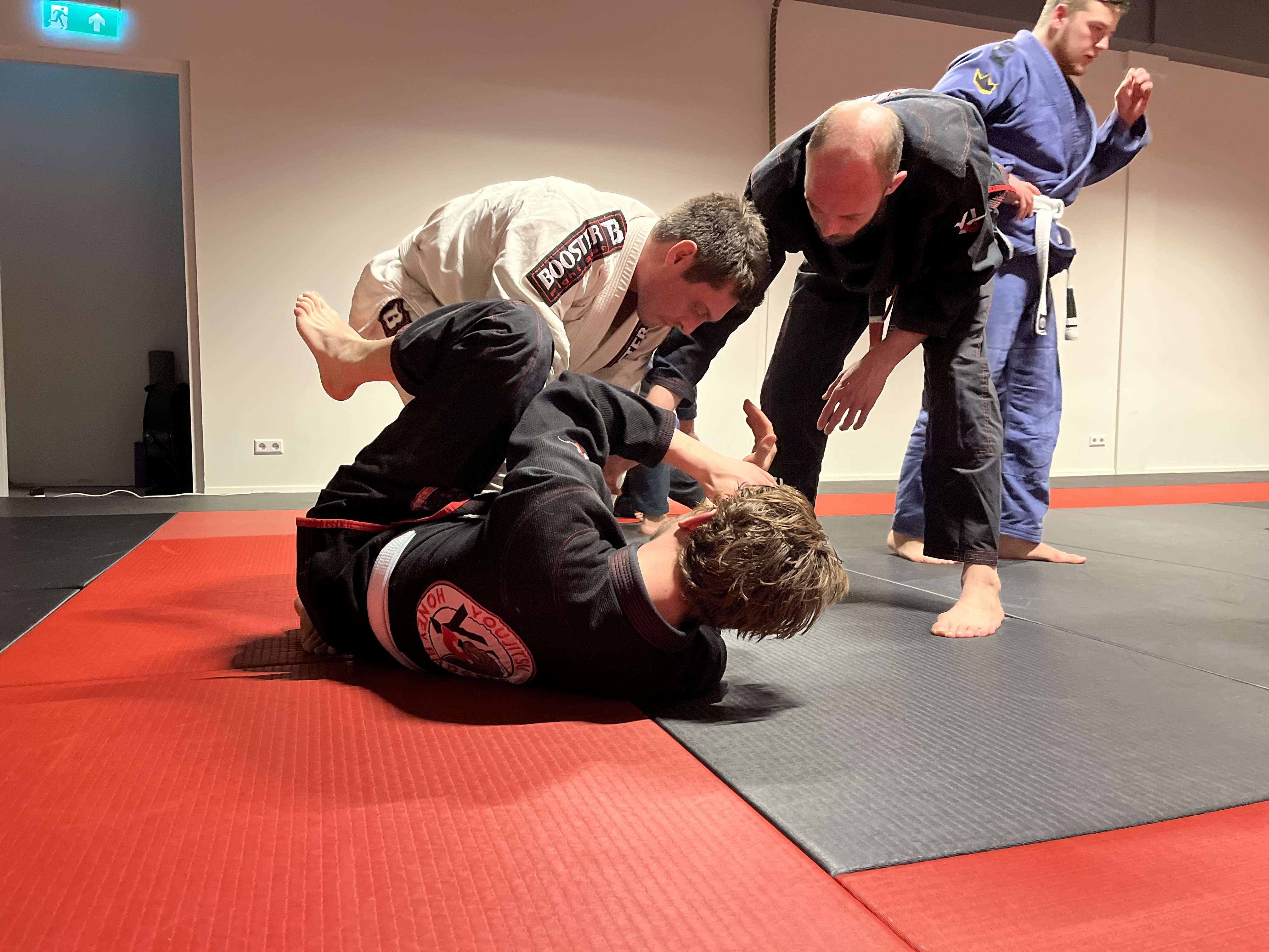 YouJitsu Honey Badgers