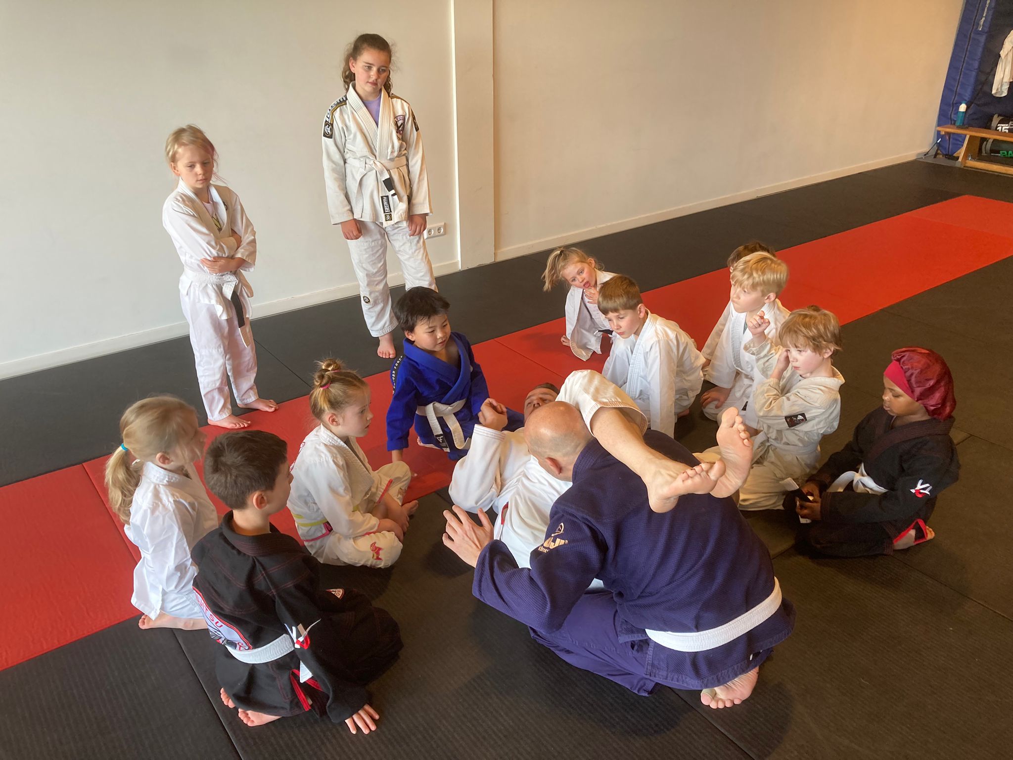 YouJitsu Honey Badgers